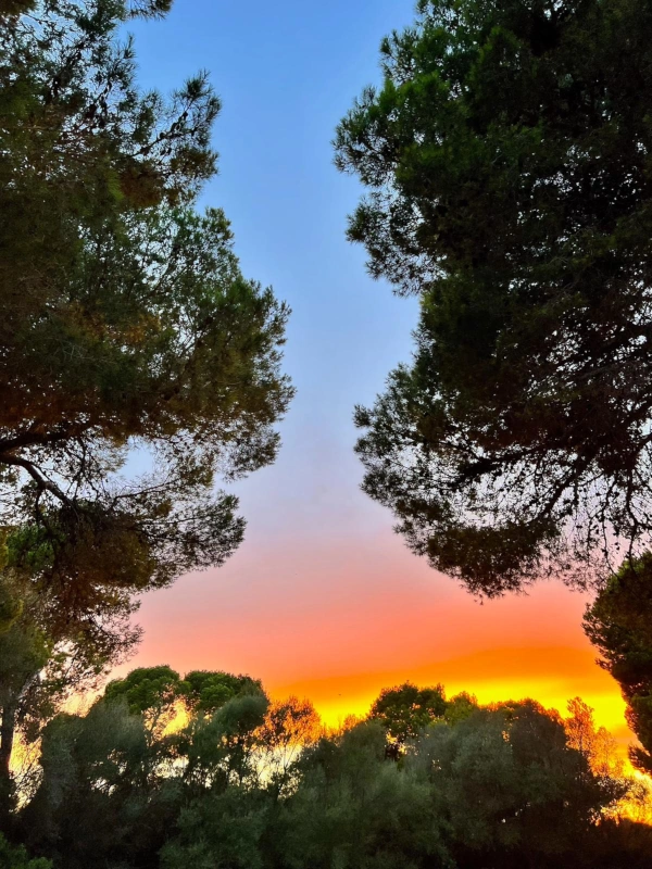 Mallorca Yoga School